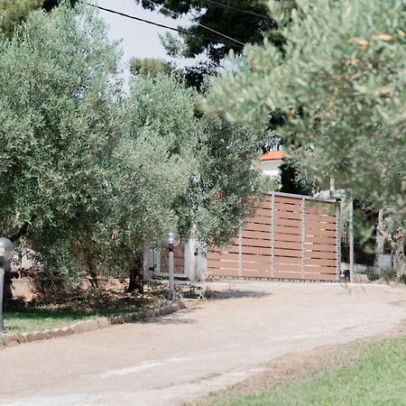 Appartamento Aelia Metamorfosi  Esterno foto