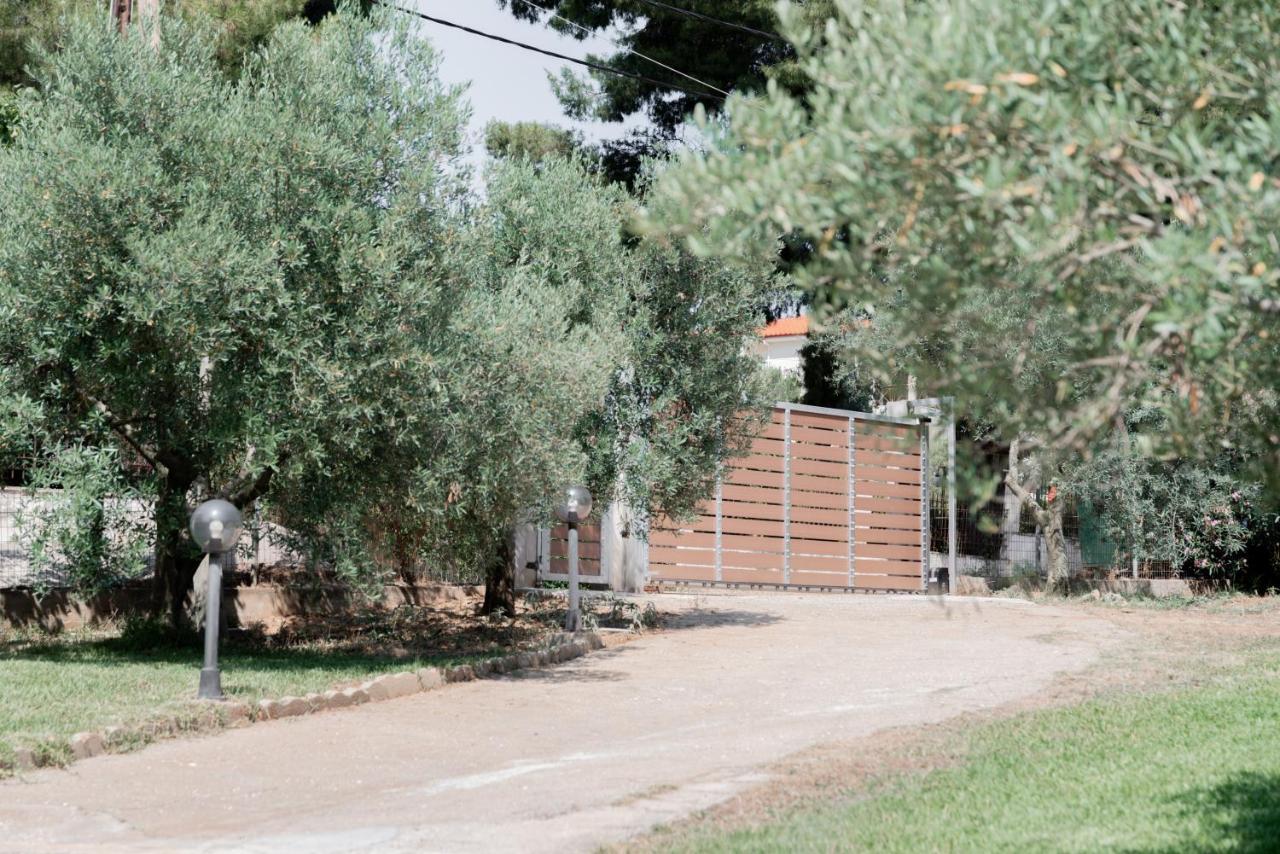 Appartamento Aelia Metamorfosi  Esterno foto